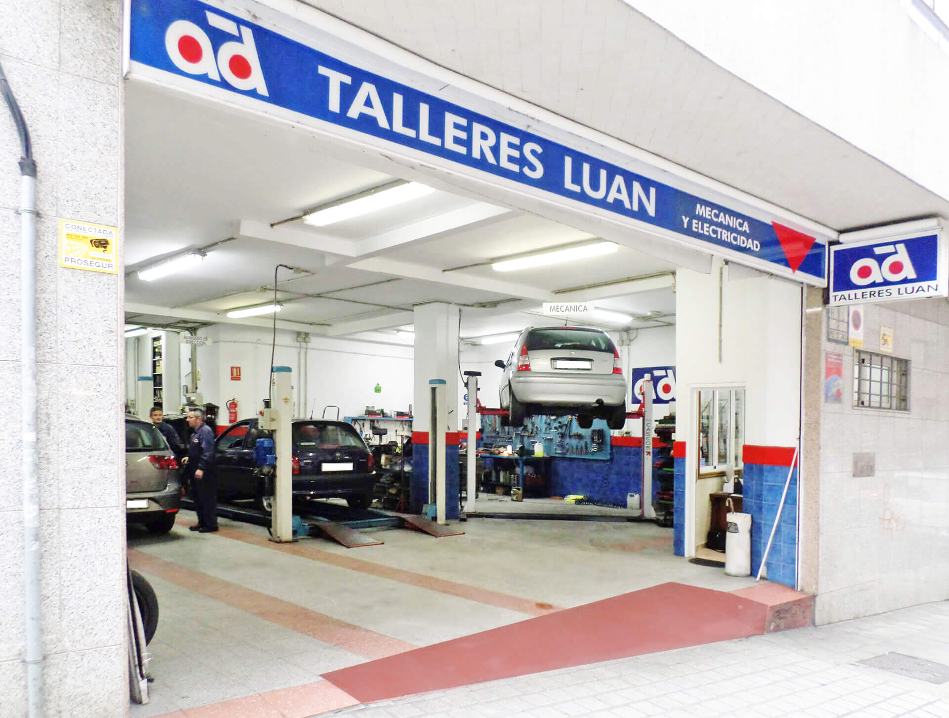 Profesionales de la mecánica y electricidad del automóvil